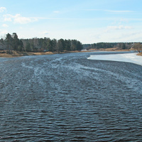 Река Оредеж