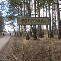 Велебицы