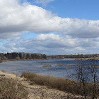 Велебицы, река Шелонь.