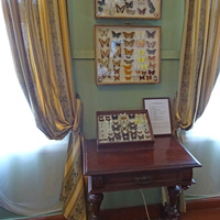 В музее-усадьбе "Рождествено"