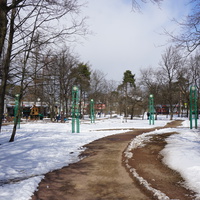 Сестрорецк.