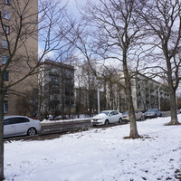 Сестрорецк.