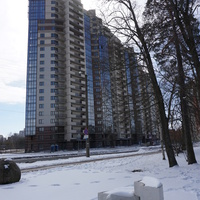 Сестрорецк.