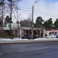 Сестрорецк.