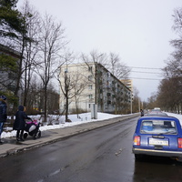 Сестрорецк.