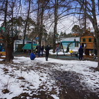 Сестрорецк.