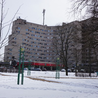 Сестрорецк.