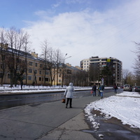 Сестрорецк.