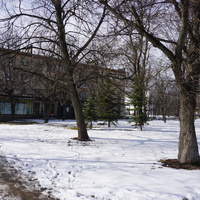 Сестрорецк.