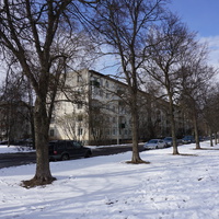 Сестрорецк.