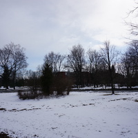 Сестрорецк.