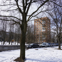 Сестрорецк.