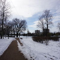 Сестрорецк.