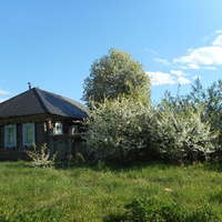 Шишелово весна дом  Шадриной Клавдии