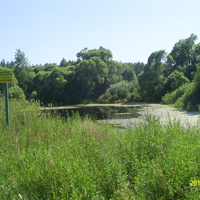 Деревенский пруд в Тупицыно