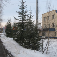 Сыктывкар 2017