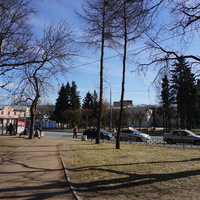 Сестрорецк.