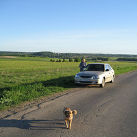 По дороге в Котельнич