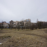 Сестрорецк.