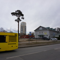 г.Сестрорецк.