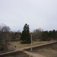 г.Сестрорецк.