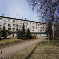 г.Сестрорецк.