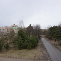 г.Сестрорецк.