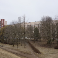 г.Сестрорецк.