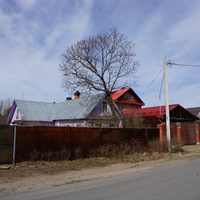 г.Сестрорецк.