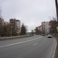 г.Сестрорецк.