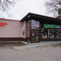 г.Сестрорецк.