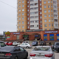 г.Сестрорецк.