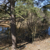 г.Сестрорецк.