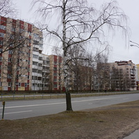 г.Сестрорецк.