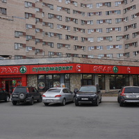 г.Сестрорецк.