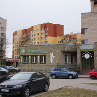 г.Сестрорецк.