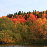 Осень на реке Корелке