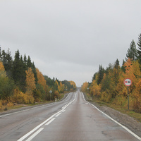 Дорога в Холмогоры