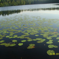 Озеро Пиявочное к северо-западу от д. Пушнино