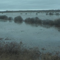 Новоселицы, разлив реки Мсты