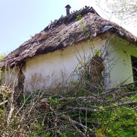 Стара хата під очеретяним дахом(нежитлова).
