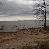 Нижний парк. Берег Финского залива.