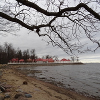 Нижний парк. Берег Финского залива.