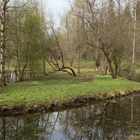 Дворцовый парк. Водный лабиринт