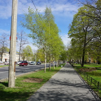 На улице Савушкина.