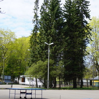 В сквере им.Маргелова.