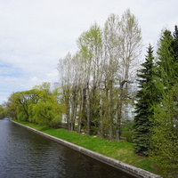Река Крестовка.