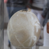 Карфаген. Национальный музей Карфагена.