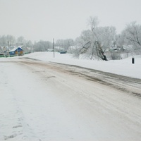 Деревня Тарказы зимой