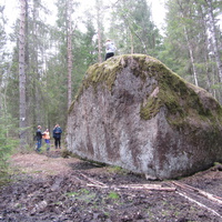 Гранитный "Бесов камень" расположен в болотистом редколесье Бегуницкого лесничества между деревнями Сельцо и Кандакюля